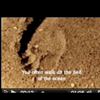 http://w0504.uws.edu.au/adeltaImages/Caney/Seabed/Caney_Seabed_image2.png