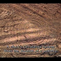 http://w0504.uws.edu.au/adeltaImages/Seaman/watchDetail/Seaman_watchDetail_image2.png
